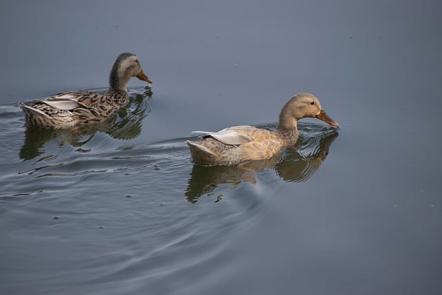 2026年还值得入坑吗我从运营视角讲透pvp对战游戏为什么依然让人上头 2026年还值得入坑吗我从运营视角讲透pvp对战游戏为什么依然让人上头