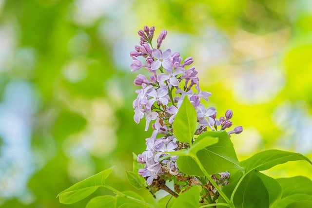 2026热门手游游戏排行榜怎么选才不踩坑我用行业视角帮你看清真正值得玩的游戏 2026热门手游游戏排行榜怎么选才不踩坑我用行业视角帮你看清真正值得玩的游戏