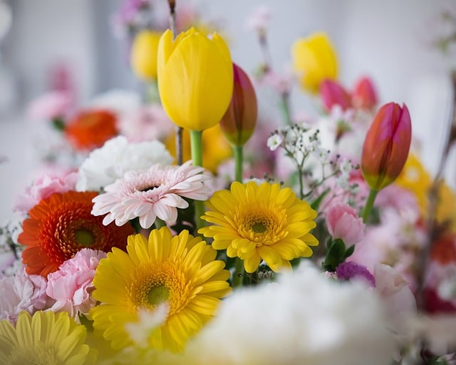 2026年还值得长期玩的十大不氪金良心手游，我按留存和口碑筛了这份清单