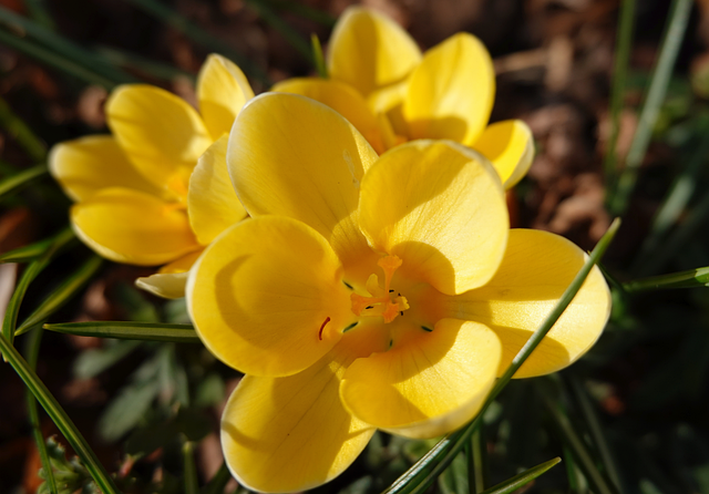 不氪金手游推荐指南-从机制到口碑挑出耐玩不逼氪 不氪金手游推荐指南-从机制到口碑挑出耐玩不逼氪