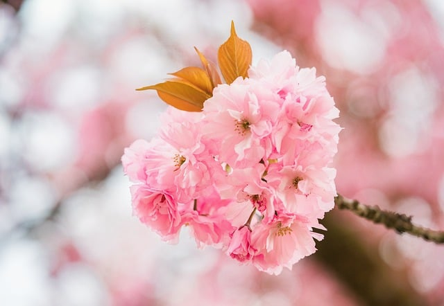 姜广涛配过的角色有多绝一文看懂他的代表作、声音风格与观众为何念念不忘 姜广涛配过的角色有多绝一文看懂他的代表作、声音风格与观众为何念念不忘