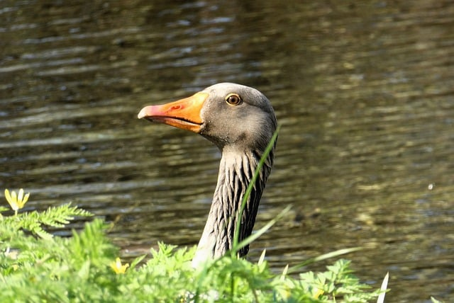 氪金大佬的生存游戏：我做运营第九年，终于把“充值赢家”看明白了