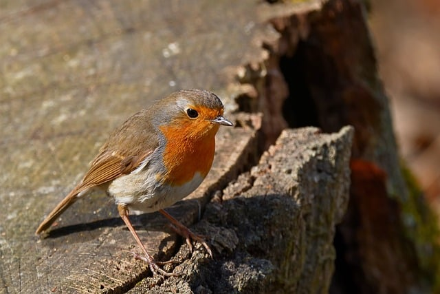 我把我的日常任务游戏拆开讲透:为什么它比待办清单更能让我持续行动 我把我的日常任务游戏拆开讲透:为什么它比待办清单更能让我持续行动