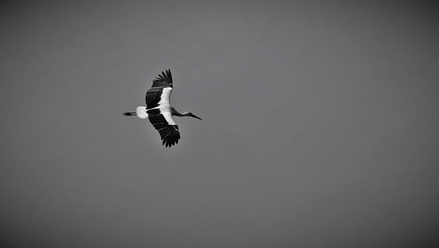 游戏pvp是啥意思一篇讲透对战玩法、规则差异和新手避坑点 游戏pvp是啥意思一篇讲透对战玩法、规则差异和新手避坑点