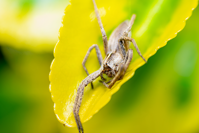 别再盲打了,手游pvp对战技巧里最容易被忽略的赢面秘密 别再盲打了,手游pvp对战技巧里最容易被忽略的赢面秘密