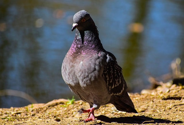 别再白跑图了,这款游戏有哪些隐藏任务一篇讲透的实用整理 别再白跑图了,这款游戏有哪些隐藏任务一篇讲透的实用整理