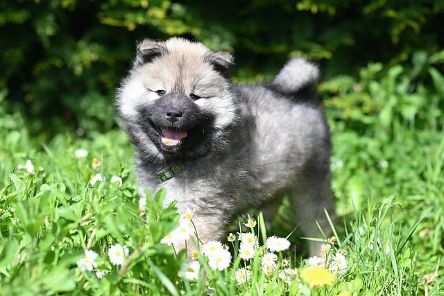 别再盲目肝了，做任务的手游到底值不值得长期玩这篇给你讲透